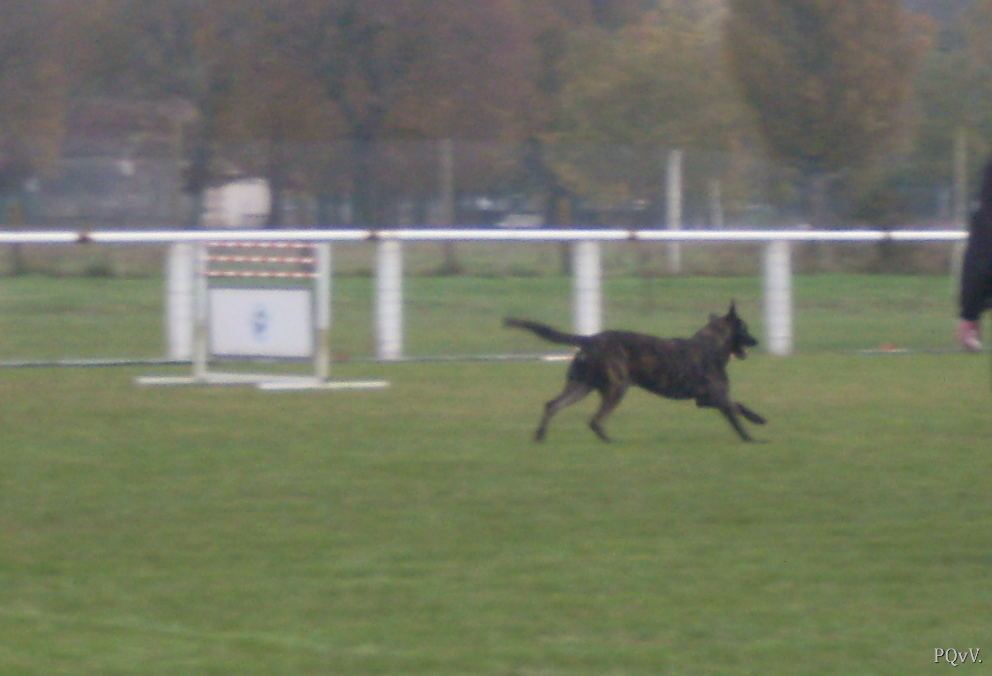  Eros des Crocs d’Olympe